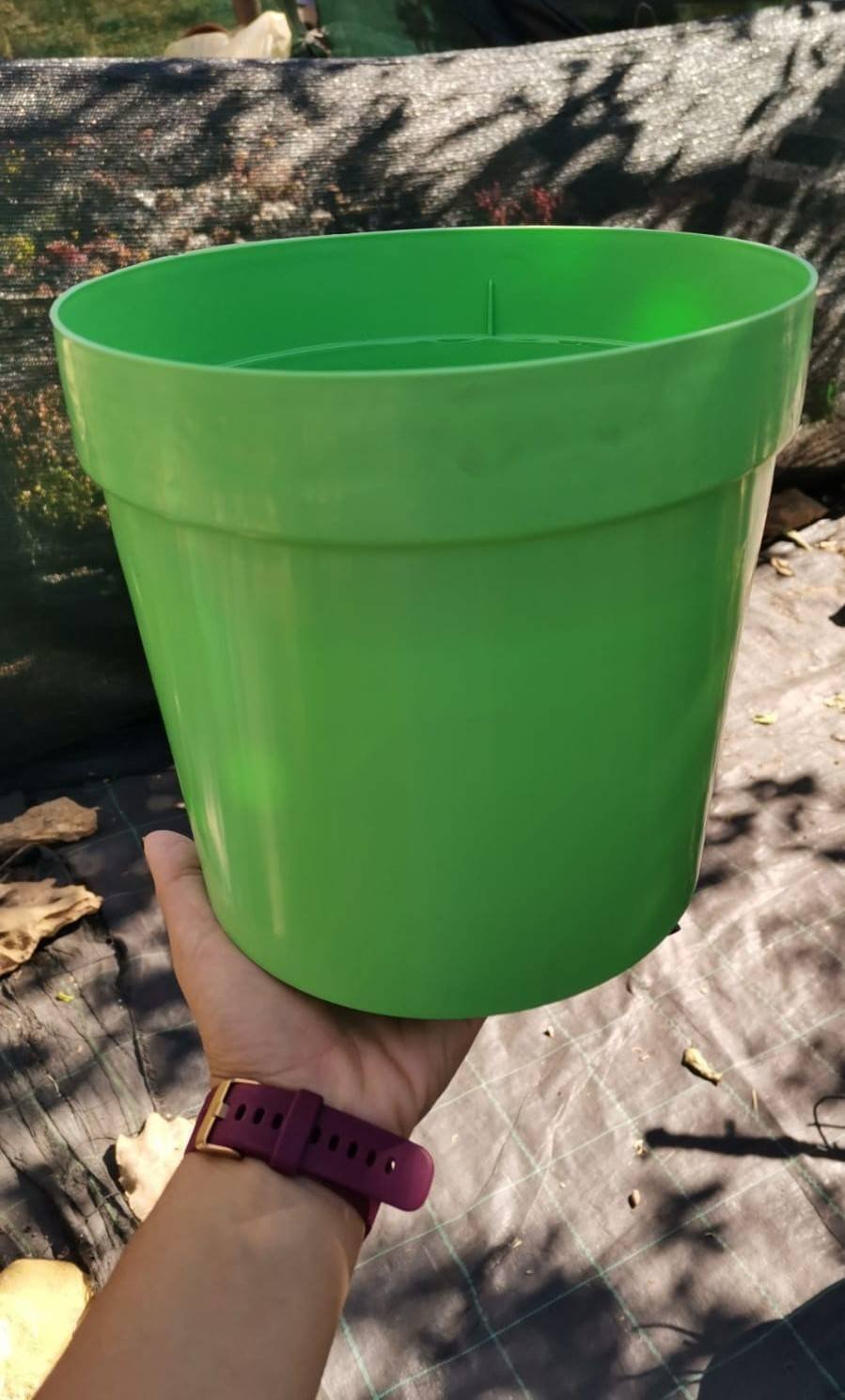 Siracactus-vasi-Vaso-Amalfi-verde.jpg