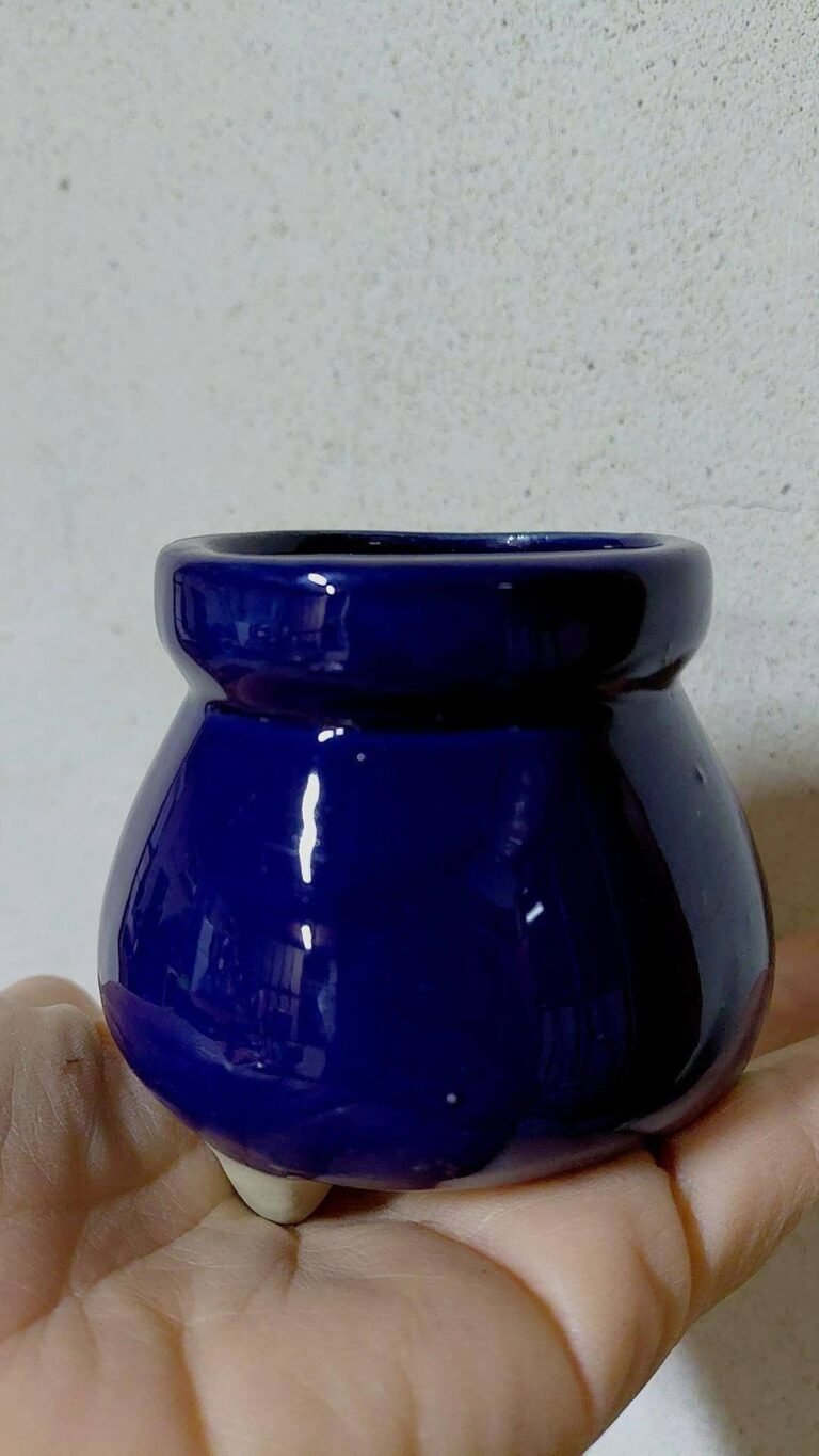 Siracactus-vaso-Vaso-cinese-4.jpg