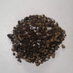 Terriccio per Cactacee