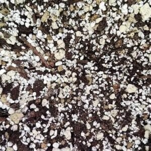 Terriccio mix per Piante Grasse